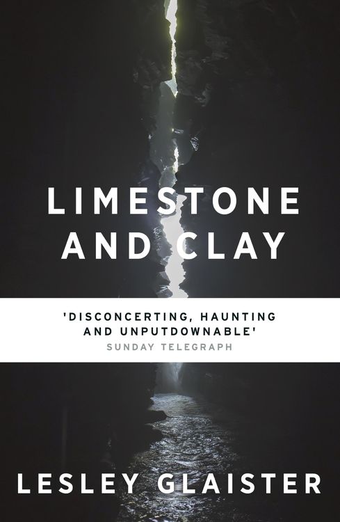 Bild vom Artikel Limestone and Clay vom Autor Lesley Glaister