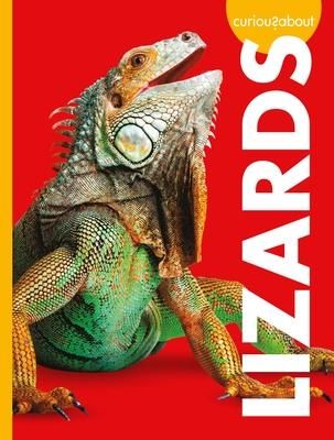 Produktbild: Curious about Lizards