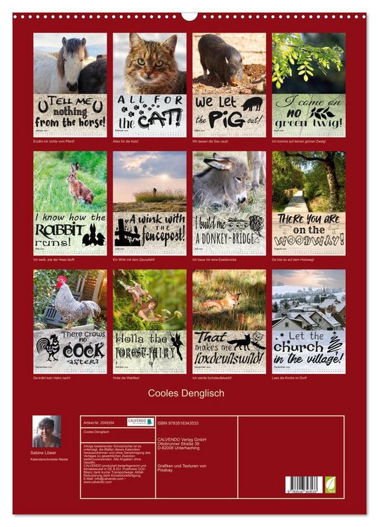 Produktbild: Cooles Denglisch (Wandkalender 2026 DIN A2 hoch), CALVENDO Monatskalender
