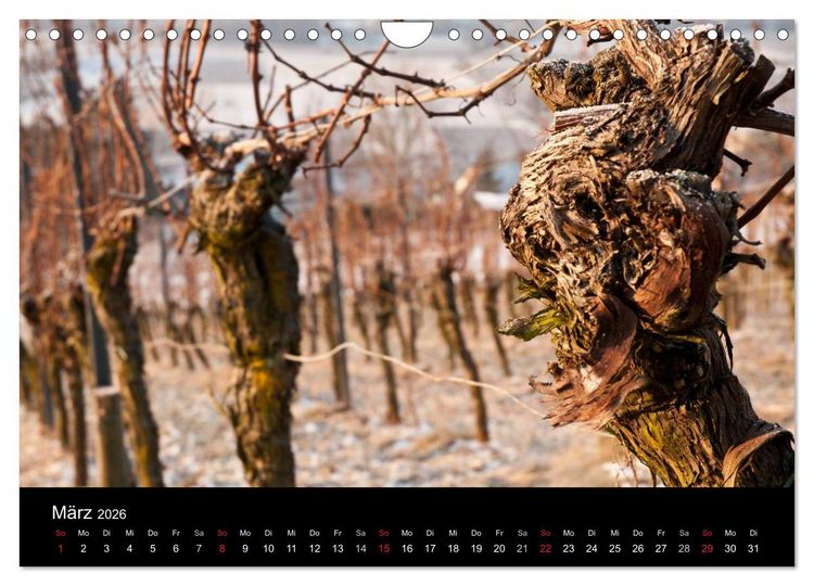 Produktbild: Weinberge im Remstal (Wandkalender 2026 DIN A4 quer), CALVENDO Monatskalender