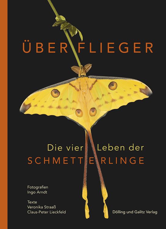 Produktbild: &Uuml;berflieger. Die vier Leben der Schmetterlinge