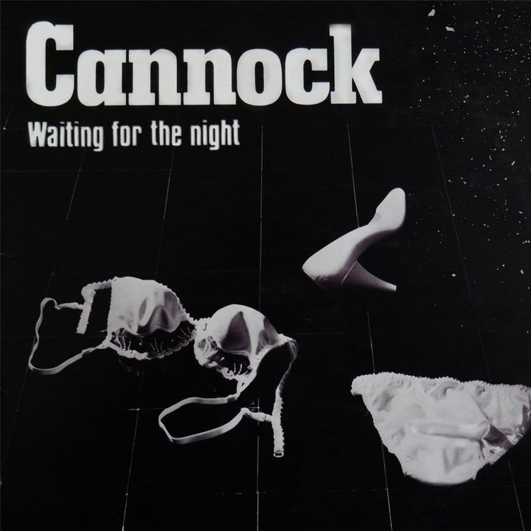 Produktbild: Waiting For The Night, 1 Schallplatte