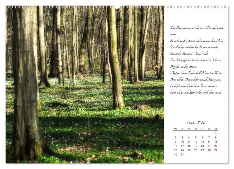 Produktbild: Max Dauthendey - Mit der Natur durchs Jahr (Wandkalender 2026 DIN A2 quer), CALVENDO Monatskalender