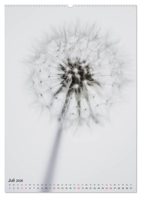 Produktbild: Pure Flowers (hochwertiger Premium Wandkalender 2026 DIN A2 hoch), Kunstdruck in Hochglanz