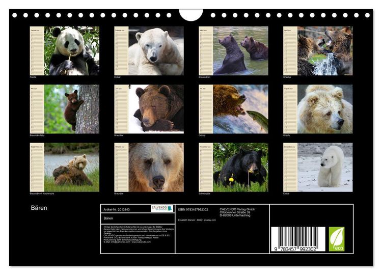 Produktbild: B&auml;ren (Wandkalender 2026 DIN A4 quer), CALVENDO Monatskalender