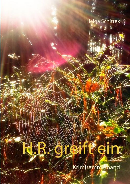 Produktbild: H.R. greift ein