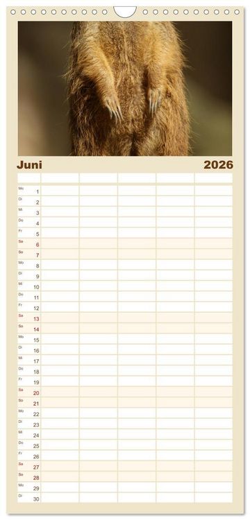 Produktbild: Familienplaner 2026 - Erdm&auml;nnchen: Zusammen sind wir stark mit 5 Spalten (Wandkalender, 21 x 45 cm) CALVENDO