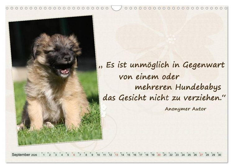 Produktbild: Mit Hundezitaten gut durchs Jahr / CH-Version (Wandkalender 2026 DIN A3 quer), CALVENDO Monatskalender