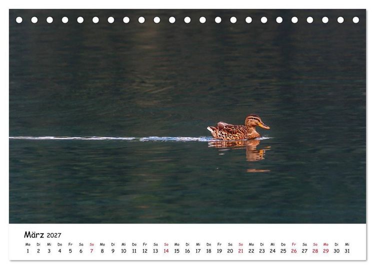 Produktbild: Wanderbarer Wei&szlig;ensee (Tischkalender 2027 DIN A5 quer), CALVENDO Monatskalender