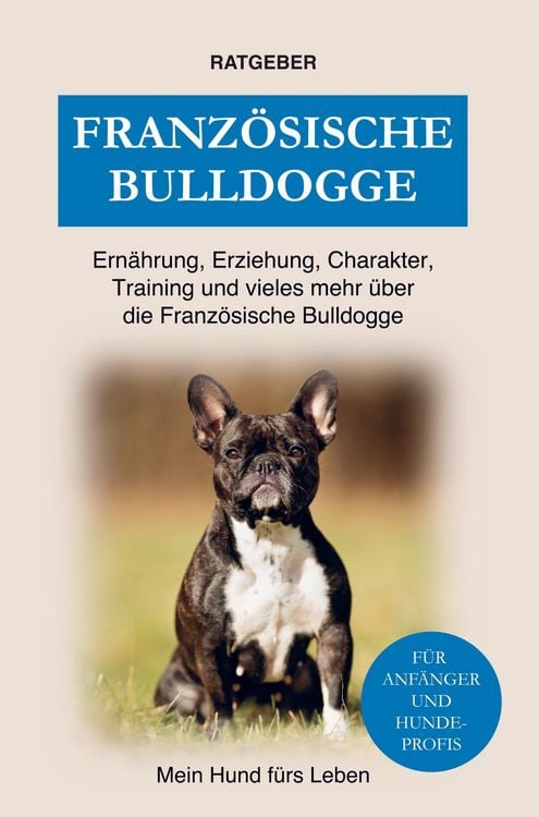 Produktbild: Franz&ouml;sische Bulldogge