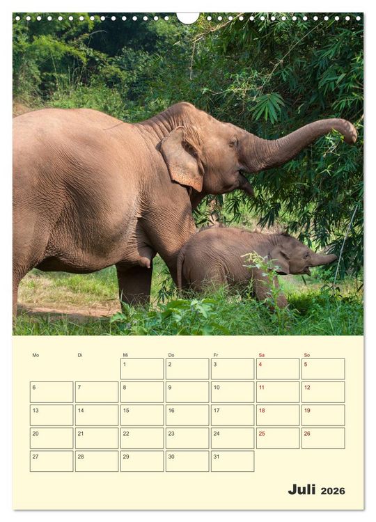 Produktbild: ELEFANTEN - Asiens graue Riesen (Wandkalender 2026 DIN A3 hoch), CALVENDO Monatskalender