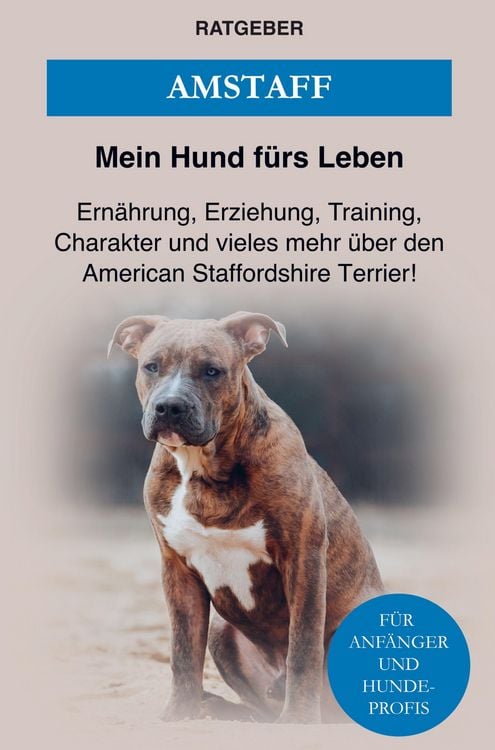Produktbild: American Staffordshire Terrier