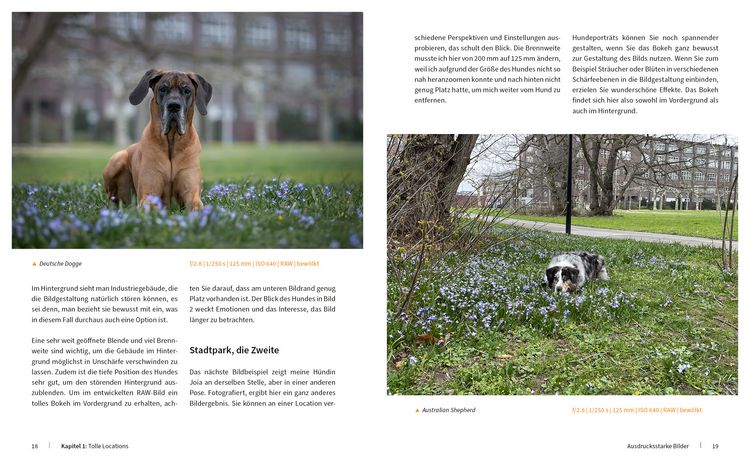 Produktbild: Hunde fotografieren - Kreative Bilder mit "Wau-Effekt"