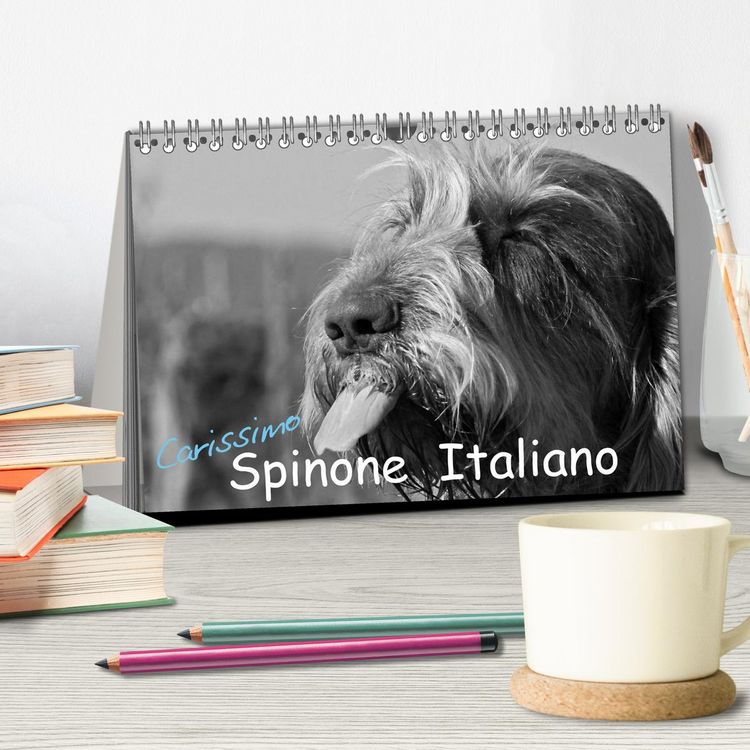 Produktbild: Carissimo Spinone Italiano (Tischkalender 2026 DIN A5 quer), CALVENDO Monatskalender