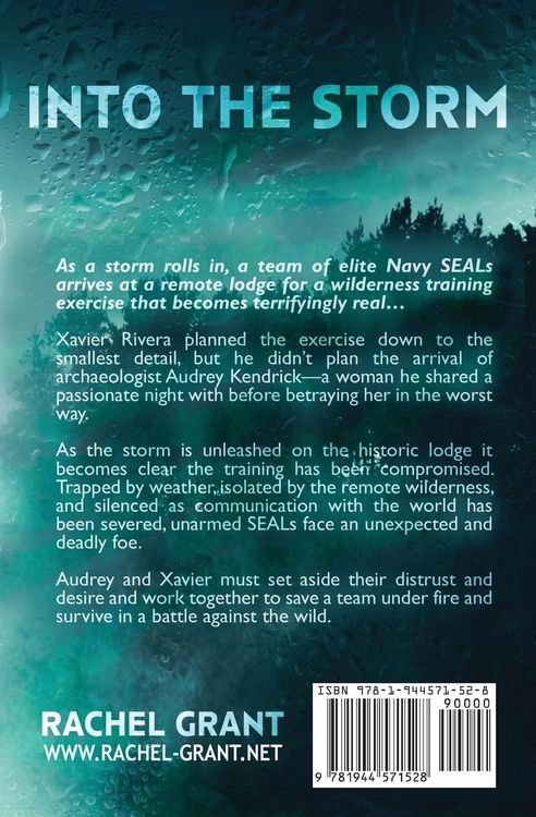 Produktbild: Into the Storm