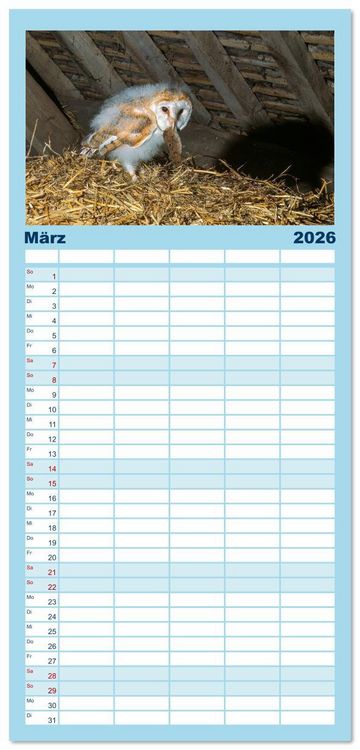 Produktbild: Familienplaner 2026 - Das Leben der Eulen, die Damen der Nacht mit 5 Spalten (Wandkalender, 21 x 45 cm) CALVENDO