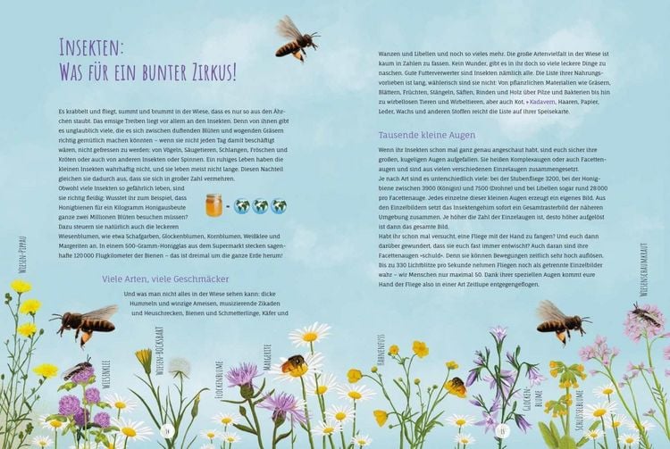 Produktbild: Die Wildwiese