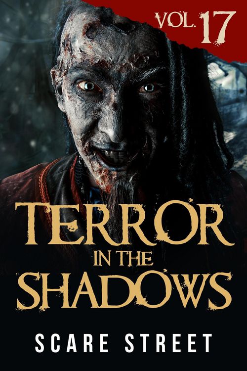 Produktbild: Terror in the Shadows Vol. 17