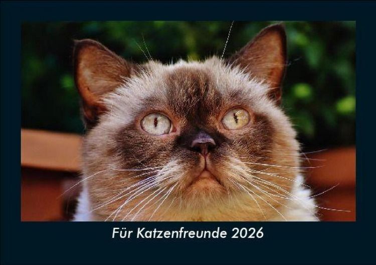 Produktbild: F&uuml;r Katzenfreunde 2026 Fotokalender DIN A5
