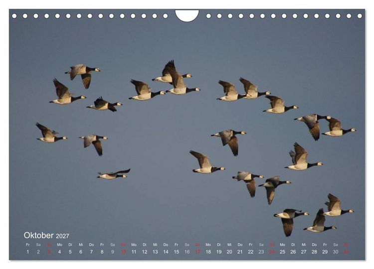 Produktbild: Anblicke und Ausblicke auf Fischland Dar&szlig; (Wandkalender 2027 DIN A4 quer), CALVENDO Monatskalender