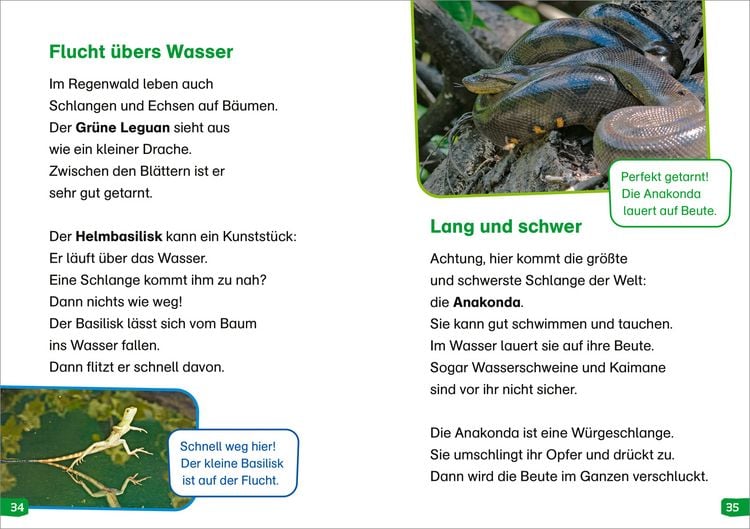 Produktbild: WAS IST WAS Erstes Lesen easy! Band 18. Tiere im Regenwald