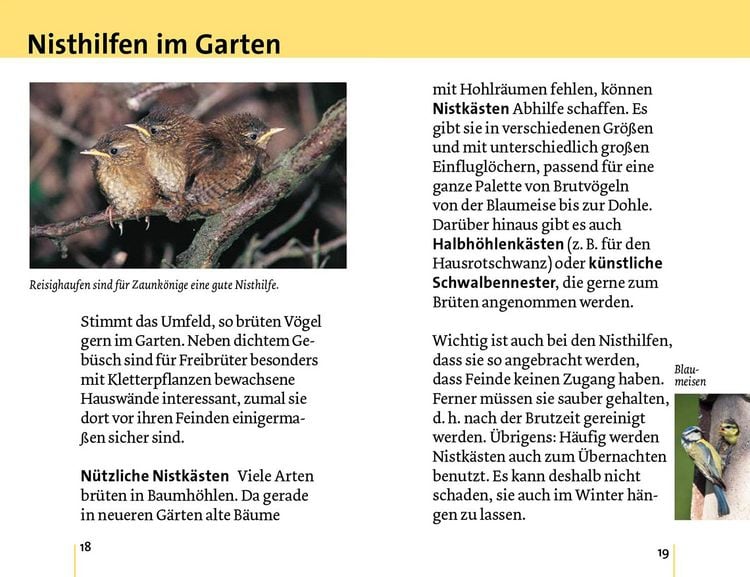 Produktbild: Alle V&ouml;gel sind schon da