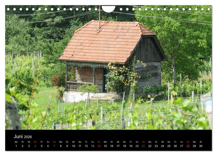 Produktbild: Weinidylle im S&uuml;dburgenland (Wandkalender 2026 DIN A4 quer), CALVENDO Monatskalender