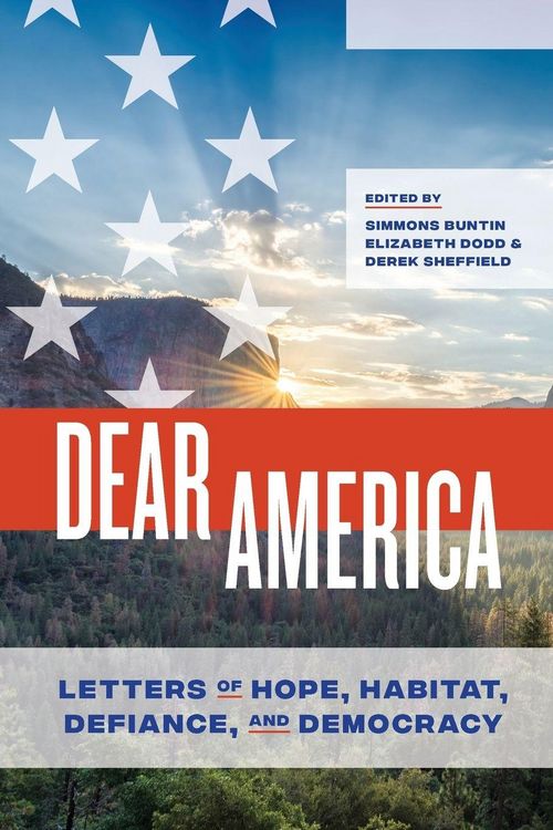 Produktbild: Dear America