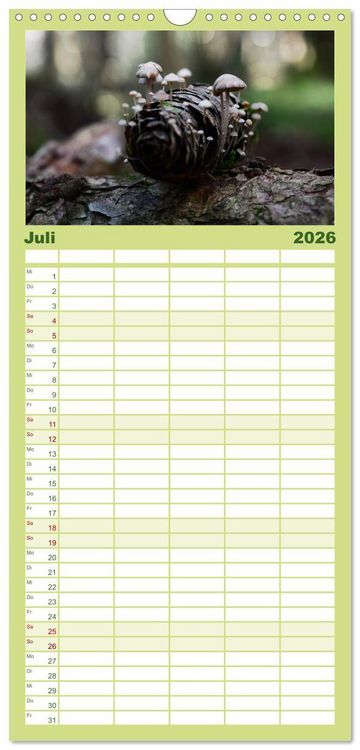 Produktbild: Familienplaner 2026 - Schwammerl Egerlinge Pilze mit 5 Spalten (Wandkalender, 21 x 45 cm) CALVENDO