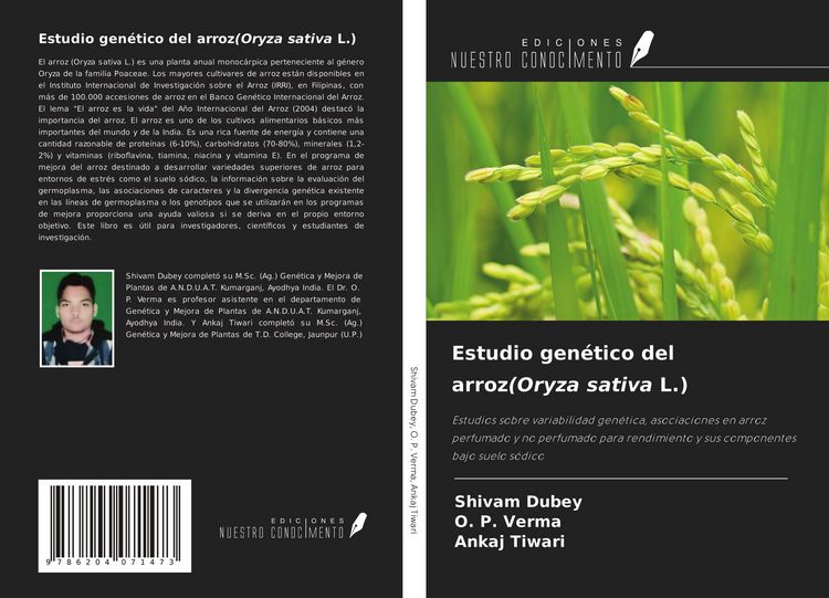 Produktbild: Estudio gen&eacute;tico del arroz(Oryza sativa L.)