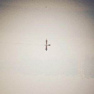 Produktbild: Endling