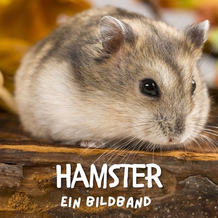 Produktbild: Hamster