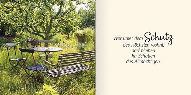 Produktbild: Ich schenke dir Psalm 91