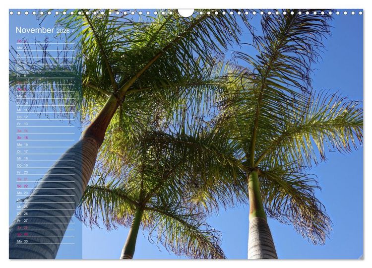 Produktbild: Fuerteventura in Ruhe (Wandkalender 2026 DIN A3 quer), CALVENDO Monatskalender