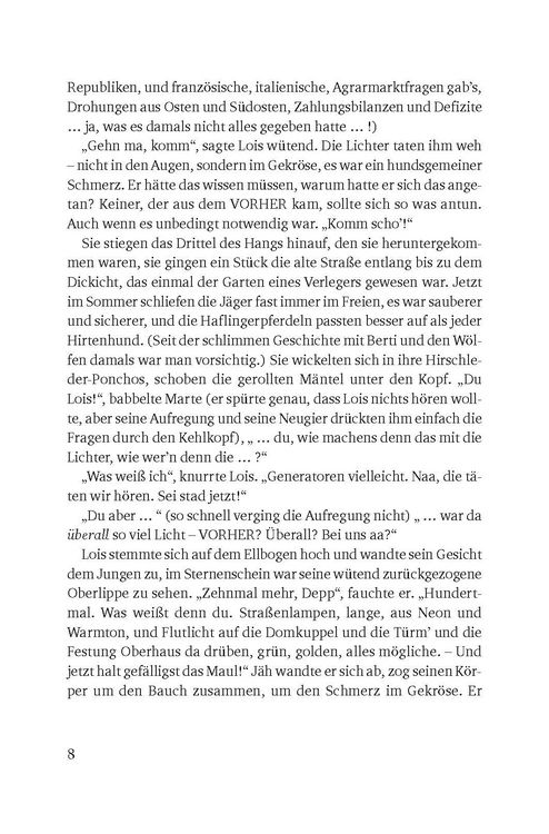 Produktbild: Der Untergang der Stadt Passau