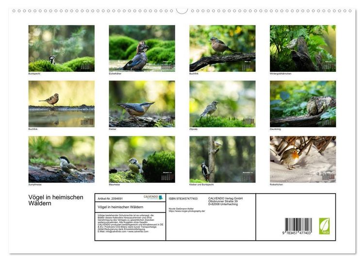 Produktbild: V&ouml;gel in heimischen W&auml;ldern (hochwertiger Premium Wandkalender 2026 DIN A2 quer), Kunstdruck in Hochglanz