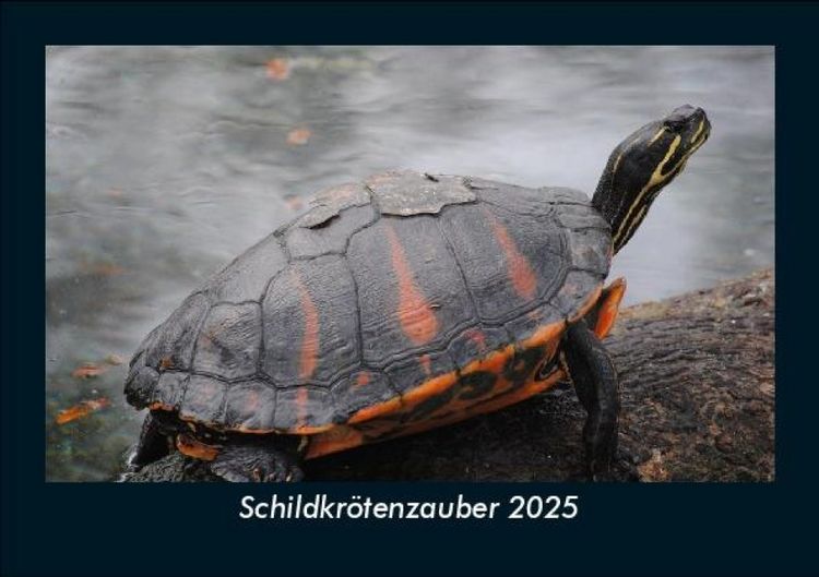 Produktbild: Schildkr&ouml;tenzauber 2025 Fotokalender DIN A5