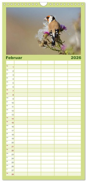 Produktbild: Familienplaner 2026 - Das faszinierende Reich der V&ouml;gel mit 5 Spalten (Wandkalender, 21 x 45 cm) CALVENDO