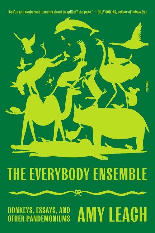 Produktbild: Everybody Ensemble