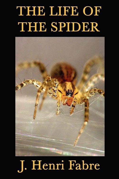 Produktbild: The Life of the Spider