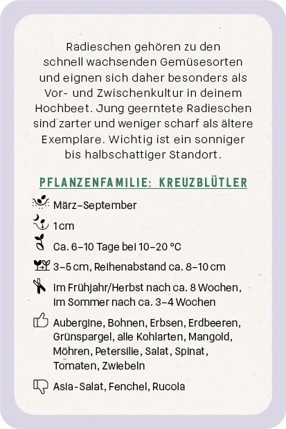 Produktbild: Kartenset: Hochbeet super easy