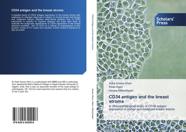 Produktbild: CD34 antigen and the breast stroma