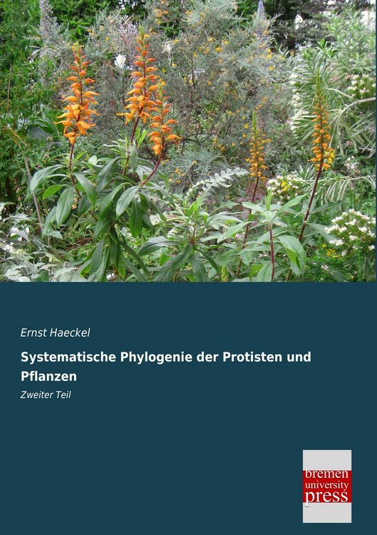 Produktbild: Systematische Phylogenie der Protisten und Pflanzen