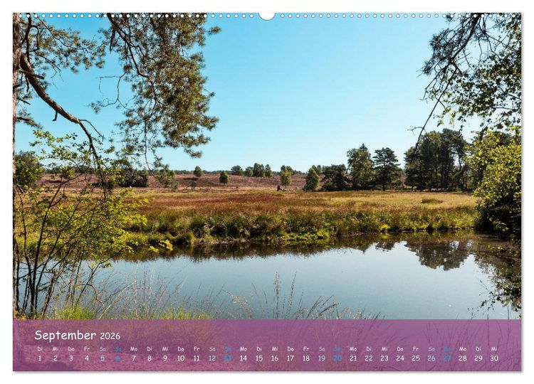 Produktbild: Im Herzen der L&uuml;neburger Heide (Wandkalender 2026 DIN A2 quer), CALVENDO Monatskalender