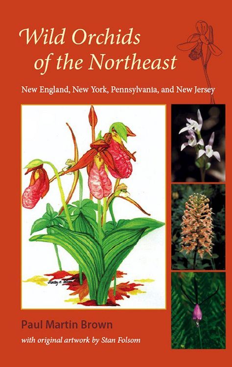 Produktbild: Wild Orchids of the Northeast