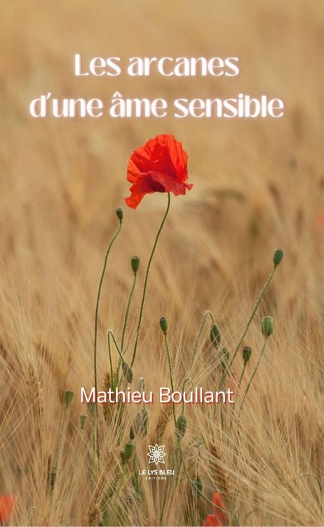 Produktbild: Les arcanes d'une &acirc;me sensible