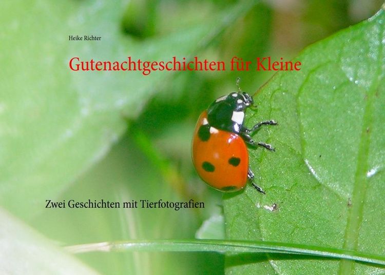 Produktbild: Gutenachtgeschichten f&uuml;r Kleine