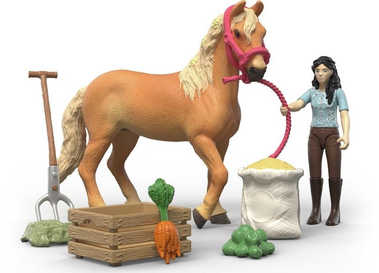 Produktbild: schleich&reg; 42797 Emilys Pflegeset mit Pferd