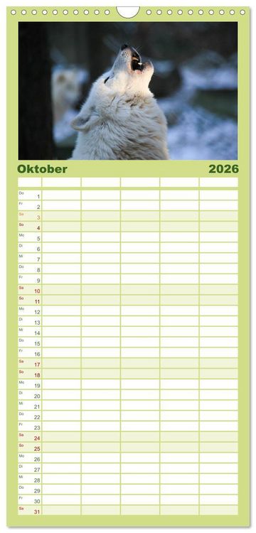 Produktbild: Familienplaner 2026 - Tierkalender 2026 mit 5 Spalten (Wandkalender, 21 x 45 cm) CALVENDO