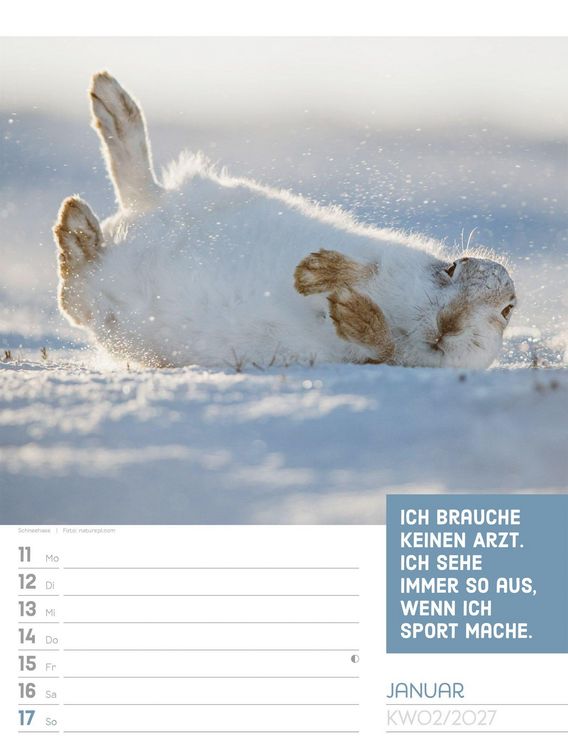 Produktbild: Tierisch Spr&uuml;chekalender Wochenplaner 2027